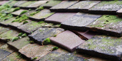 Worksop roof repair costs
